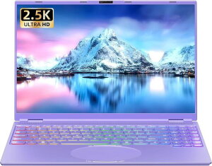 16�C���`�m�[�g�p�\�R���yWin11����/MSOffice2019���ځz�p�\�R���m�[�g/�C���e��CeleronN95����CPU1.7GHz~3.4GHz/2.5K�t��IPS�𑜓x(2560*1600)/������DDR4