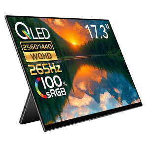 EHOMEWEIoCj^[265Hz17.3C`2KSwitch2P[u{ŊȒPڑQ[~Oj^[|[^uj^[2560x1440DCI-P3fW^Vl}KiFreeSyncyʔ^Xs[J[