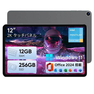 ECOHERO �^�u���b�g Pentium 6500Y 12GB/256GB 12�^ 2K IPS Office2024 ����