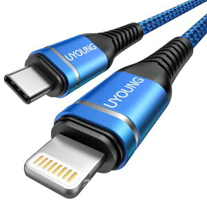 USBCCgjOP[u2m^CvCiPhone[dP[uPDΉType-cLightningP[u}[diPhone14131211ProMaxXSXR8PlusΉ(2{)