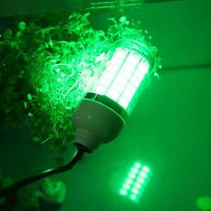 LED�W�����W�����C�g12V�����ނ胉�C�gIP68�h���t�B�b�V���O�����퍂�P�x�h����ނ�C�J�ނ�C���W�����C�g(108�r�[�Y)