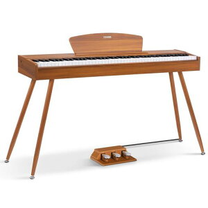 Donner�d�q�s�A�m88���n���}�[�A�N�b�V��������3�{�y�_��/�X�^���h�t���{��������i�`������DDP-80���F