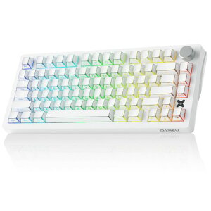 DAREU FLEX75 �Q�[�~���O�L�[�{�[�h ���� �K�X�P�b�g ���J�j�J���L�[�{�[�h 75% �e���L�[���X �p��z�� 2.4G���C�����X/Bluetooth/�L��USB�ڑ��\ �z�b�g�X���b�v�Ή� ���ʒ��߃m�u�t�� �ԓe��(���c