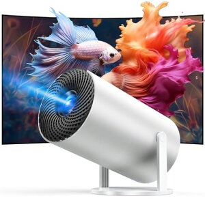 vWFN^[^yߘa6N11Vo!邳vX&270°]&`␳zWi-Fi6uڑ18000LMV䓊eBluetooth5.4300h4kΉ1080PvWFN^[ƒp