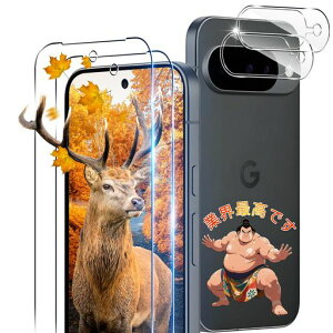 �y2+2���Z�b�g�K�C�h�g�t���z�pGooglePixel10�K���X�t�B����2�����s�N�Z��10�t�B����+2���J�����ی�t�B�����Z�b�y���{���Ɏq��9H���x�z�Ή�Pixel10�ی�t�B���������K���X�t�B�����P�[�X
