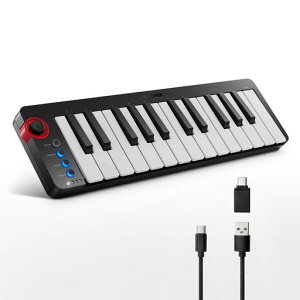 Donner MIDI�L�[�{�[�h 25�� USB�R���g���[���[ �~�j���� �R���p�N�g �x���V�e�B�Ή� ���y���� ���{��戵������ �u���b�N N-25