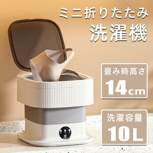 @ ^ oPc RpNg ^ S 11.5Le OiK󃂁[h   ؐ D ƒ _앨 Lv◷s̐