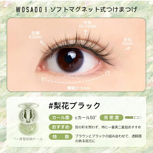 WOSADO���� ���l�̒뉀�V���[�Y �}�O�l�b�g���܂� �b�m�[�O���[ 3�b���� ��۔h�A�[�g�P�[�X�t�� �J��Ԃ��g���� ��p�P�[�X�t�� �}�O�l�b�g�����܂� ���܂� ���� �����҂� ��