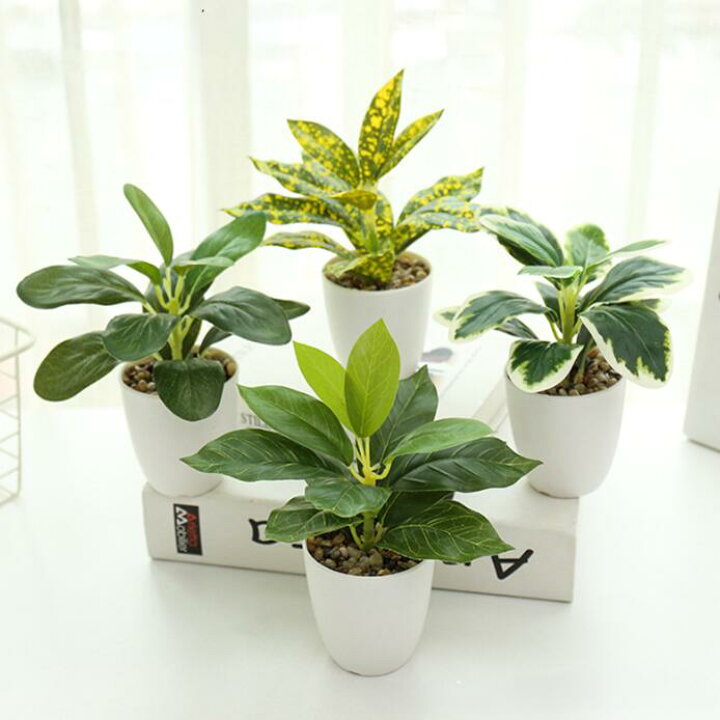 楽天市場】光触媒 フェイクグリーン 4点セット 人工観葉植物 小さめ 