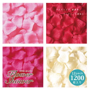  t[V[ 4F1200Zbg t[y^   20`50lp