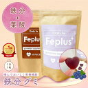 ＼マラソン開始28時間限定★店内全品30％OFF／鉄分グミ 鉄 サプリグミ グミサプリ 鎌倉ライフ Feplus エフイープラス 60粒 60日分 2ヶ月分 大容量 ブルーベリー味 コーラ味 サプリメント 鉄分 葉酸 妊婦 産後 女性 子供 子ども 鉄分補給 栄養 栄養補助 手軽 小粒 おやつ