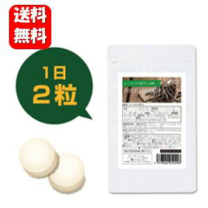 yzqncGLXEX 60 IO爤ꂽh܂Ɂ qnc qncGLX qnc Tv Tvg  Ђ͂ Oybp[ iKRVE qnc pE_[ 