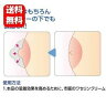 【送料無料】【あす楽対応】チェリートップ...