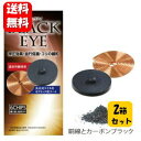 【送料無料】丸山式コイル ブラックアイ6個×2箱セット 貼り替えシール計60枚付き【ポイント20倍】【一般医療機器】 …
