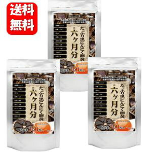 yzՂ荕ɂɂ@6×3܃ZbgI eʂł̃Tvg ɂɂ ɂɂ  ɂɂ XY jjN ɂɂ Tv@jjN