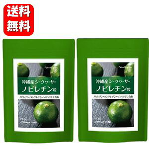 yzYV[N[T[ 90×2܃ZbgII mr`W⋋AV[N[T[琶܂ꂽTvg Tv Tvg NHi mr`Tv [ 