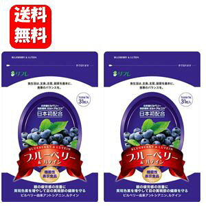 yzu[x[eC 31×2܃ZbgIy@\\Hizy[J[Kizڂ̔JPrx[Tvg Tv Tvg ڂ̔ ᐸJ 