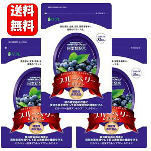 yzu[x[eC 31×3܃ZbgIy@\\Hizy[J[Kizڂ̔JPrx[Tvg Tv Tvg ڂ̔ ᐸJ 