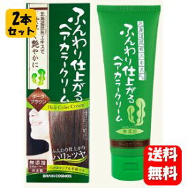 【送料無料】NEW ふんわり仕上がる ヘアカラークリーム 200g×2本セット！ 使うごとに徐々に自然な髪色に仕上げる人気の白髪染めカラートリートメント♪ ヘアカラー 白髪染め 白髪隠し 毛染め 利尻昆布 毛染め シャンプー 毛染め ヘナ 利尻ヘアカラートリートメント