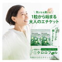口氣預防用品｜Feクロロフィル 30日分 【ポイント10倍】【数量限定】1カプセルにクロロフィル150mg配合！！ Feクロロ…
