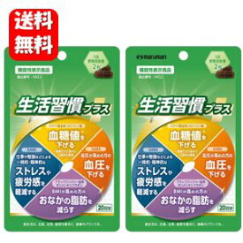 【送料無料】生活習慣プラス 40粒入×2袋セット 【機能性表示食品】いつもの生活にプラスワン！生活習慣にアプローチ♪ 生活習慣 改善 血糖値 下げる 血圧 高血圧 下げる ストレス 疲労感 軽減 おなかの脂肪 減らす サプリ サプリメント 健康食品 内蔵脂肪 皮下脂肪 減らす