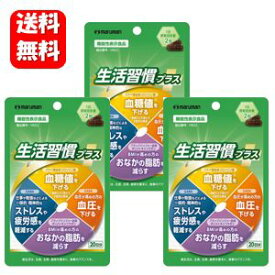 【送料無料】生活習慣プラス 40粒入×3袋セット 【機能性表示食品】いつもの生活にプラスワン！生活習慣にアプローチ♪ 生活習慣 改善 血糖値 下げる 血圧 高血圧 下げる ストレス 疲労感 軽減 おなかの脂肪 減らす サプリ サプリメント 健康食品 内蔵脂肪 皮下脂肪 減らす