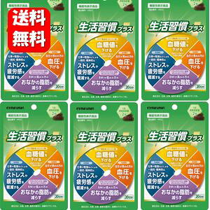 yzKvX 40×6܃Zbg y@\\Hiz̐ɃvXIKɃAv[` K P l     XgX J 