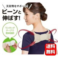 【送料無料】ピーンと背筋ベルト キレイな姿勢作りにオススメ♪ 背筋ベルト 男性 男性用 子供用 背筋 器…