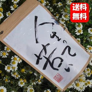 yzulċꂢ v10 10g SĈނׂB̋ꂳɔׂƐl̋ꂳy܂  ꂢ ꂢ `mL ꒚ `mL V Q[ ɂg