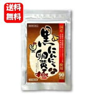 【送料無料】【あす楽対応】黒にんにく卵黄 極 90粒入 人気のにんにく卵黄が90粒でお買い得♪ にんにく卵…