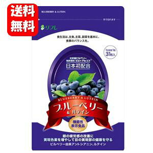 yzu[x[eC 31y@\\Hizy[J[Kizڂ̔JPrx[Tvg Tv Tvg ڂ̔ ᐸJ ڂ̃Tv