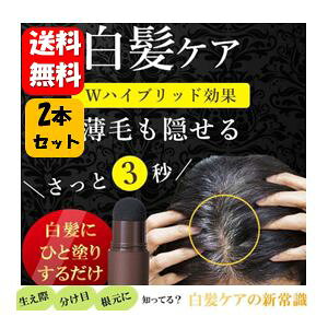 【送料無料】白髪隠しスティック 4g ×2本セット サッとひと塗り簡単白髪ケアスティック♪ ブラウン ブラック 白髪染め 毛染め 白髪 薄毛隠し 自然 簡単 お手軽 軽量 携帯 水はじき 撥水 頭皮