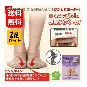 yzsƃT|[^[fit 2pi2×2jsIƑ炭`Ɂ ƃT|[^[  T|[^[ Ors ׏d  oX dS ␮ ␳ d˗ o