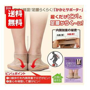 yzsƃT|[^[fit 2ipjsIƑ炭`Ɂ ƃT|[^[  T|[^[ Ors ׏d  oX dS ␮ ␳ d˗ or