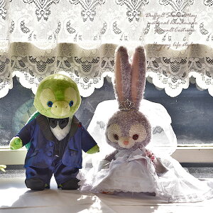 I Xe[ EGfBO yA EGJxA STCY ʂݕʔ wd90-olumelstella(a2,12)