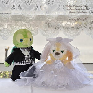 I NbL[A EGfBO yA EGJxA STCY ʂݕʔ wd115-olumelcookie(f1,12dej