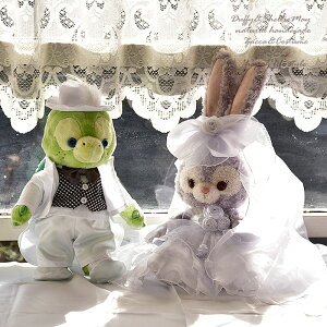 I Xe[ EGfBO yA EGJxA STCY ʂݕʔ@wd102-olumelstella(14f,12de)