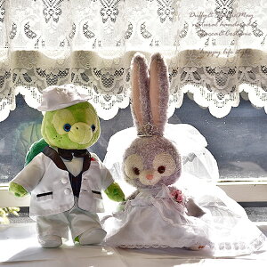 I Xe[ EGfBO yA EGJxA STCY ʂݕʔ wd105-olumelstella(b,12)