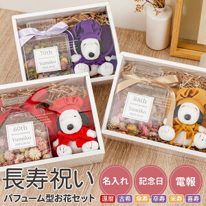 ̂jɁ@ꍞ݁@pt[{g^ԃZbg@jd@d@͂ȂԂƉXk[s[̃MtgZbg