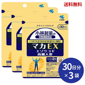 y3܃Zbgz ѐ }JEX 30 60 ݂Ȃ錳C lQGLXAJtFCܗLR[q[o5̐z j C h{⏕Hi 