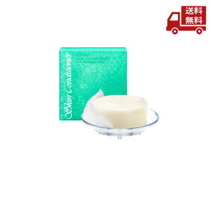 �� ALBION �A���r�I�� �X�L���R���f�B�V���i�[ �N�����W���O�o�[ 100g ���C�N���Ƃ� ���Ό� �������� �X�Ɋ����N�[�|��