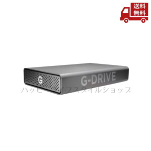  SanDisk Professiona TfBXNvtFbVi OtHDD 4TB G-DRIVE USB-C Mac ^C}VΉ SDPH91G-004T-SBAAD  XɊN[|