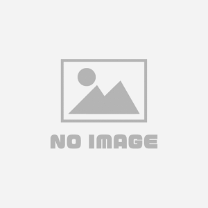  AEgbg JV[ Logicool WN[ CX Q[~O }EX G502WL ubN LIGHTSPEED  XɊN[|