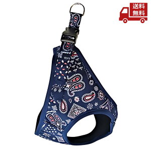  쐻쏊 yCY[\tgn[lX SS lCr[ Rbg/iC LE^p ̏d5kgȉ  XɊN[|