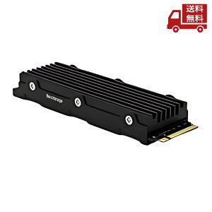 yLINEFBo^300~OFFN[|z Nextorage lNXg[W PS5Ή gSSD 1TB NEM-PA1TB/H  XɊN[|