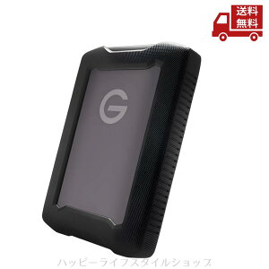 �� �T���f�B�X�N SANDISK SDPH81G-005T-GBA1D/UE 5TB USB 3.2 Gen1�Ή��|�[�^�u��HDD �������� �X�Ɋ����N�[�|��