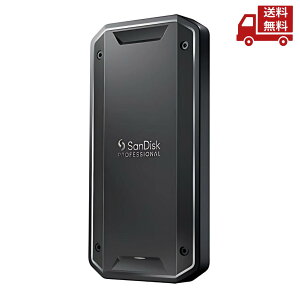  SANDISK TfBXN 4TB SSD PRO-G40 SDPS31H-004T-GBC1D/UE  XɊN[|