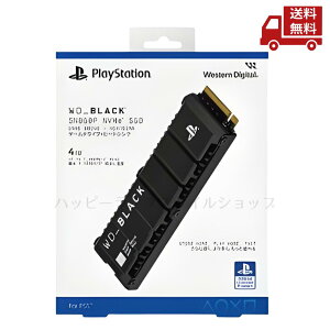  Western Digital EGX^fW^ WD SSD WDBBYV0040BNC-JRSN  XɊN[|