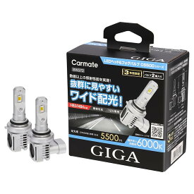 カーメイト GIGA 車用【LED ヘッド&フォグバルブ】 C5500 シリーズ 6000K 【 HB3/HB4 】5500lm 見やすいワイド配光 BW572