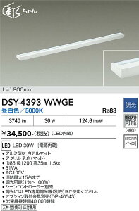 DSY-4393WWGE DAIKO ����d�@ �y���[�J�[�����z �ԐڏƖ��p��� �d������ �V��E�ǁi�����j�E���t���p LED 30W �����F�^5000K